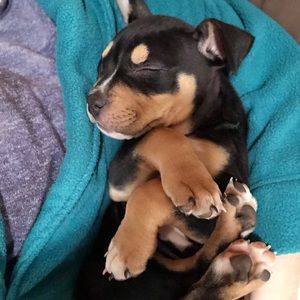 Meet your Posher, Andrea